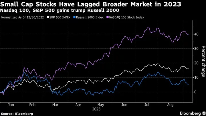 Short Sellers Reap $13 Billion on Gaps in Winner-Take-All Market