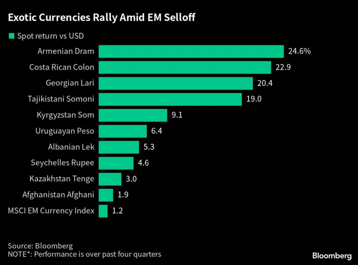 Liechtenstein Royals’ Fund Looks Beyond Emerging Markets to Exotic Frontier