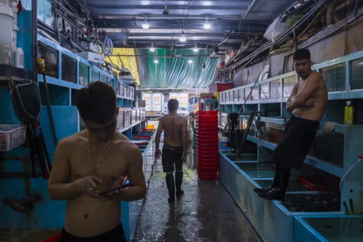 Hong Kong's seafood businesses brace for a sales slump as Japan plans to discharge radioactive water