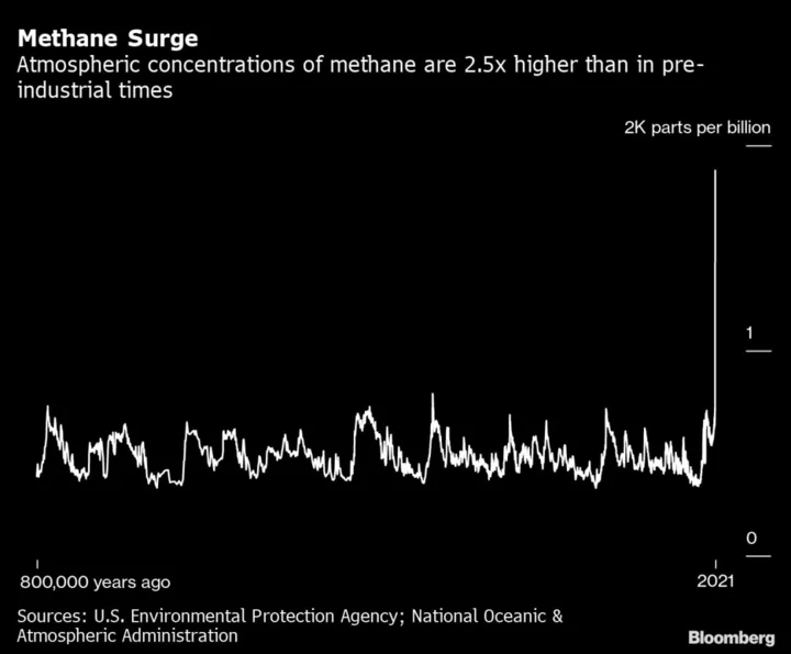 Immediate Methane Cuts Can Prevent Nearly a Million Premature Deaths, IEA Says