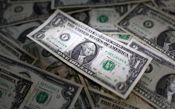 Dollar gains intact as traders eye Jackson Hole