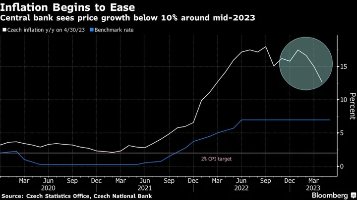 Czech Central Banker Holub Favors Raising Interest Rates Further