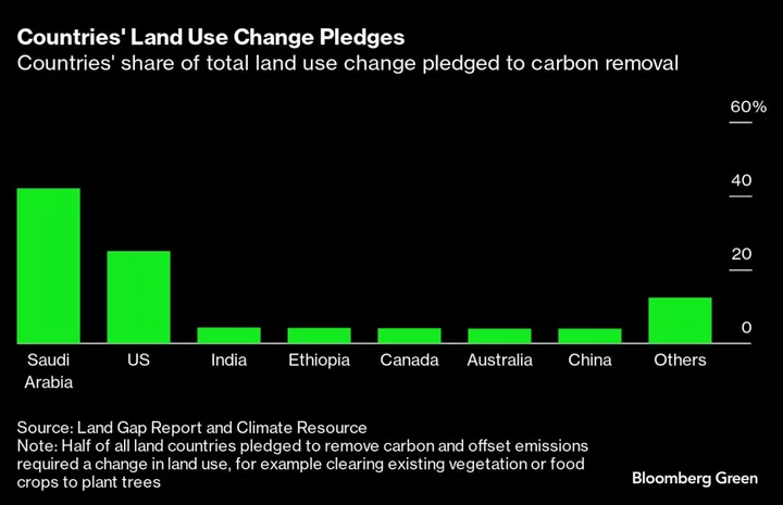 ‘Unrealistic’ Land Pledges Weaken US, Saudi Arabia Climate Goals