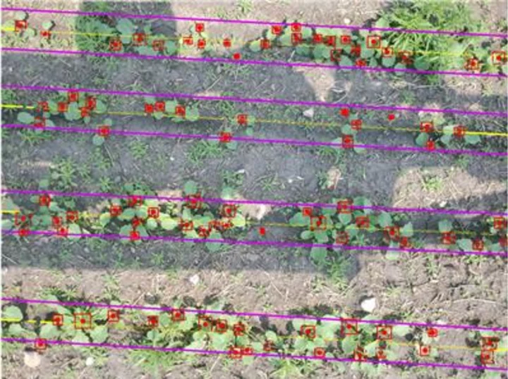 Croptimistic Introduces the World’s First Map Using Fully Autonomous Plant Stand Counting