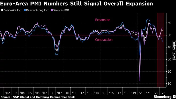 Euro-Zone Factories Flounder With Activity Shrinking at Fastest Pace Since Pandemic 