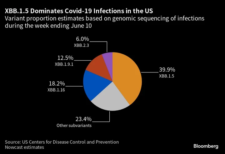 Covid Boosters Should Be Updated to Target XBB Strain, US Health Advisers Say