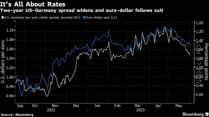 After Month of Pain, Euro Bulls Look to Fed Pause for Relief