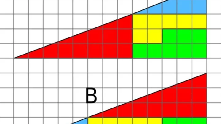 Only the most observant people can figure out the difference between these triangles