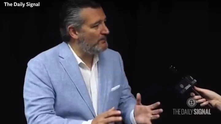 Ted Cruz fooled by fake Hurricane Hilary shark meme