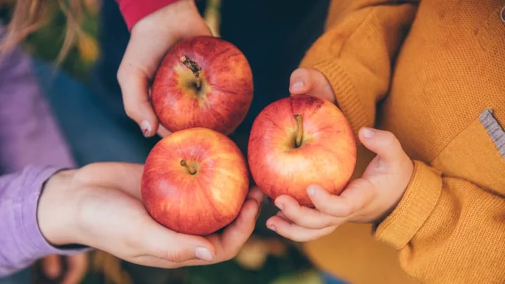 6 Ways to Celebrate the Autumnal Equinox