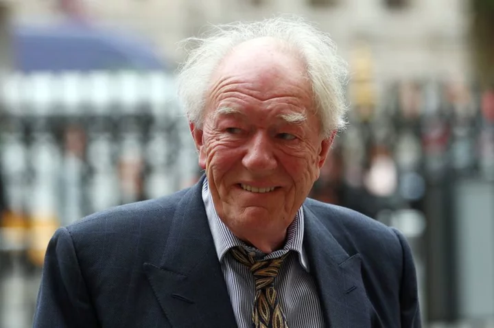 British-Irish actor Michael Gambon has died - PA Media