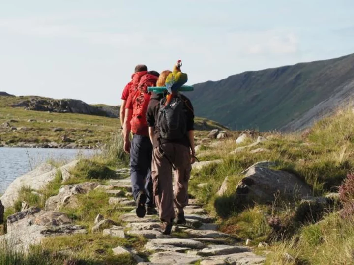 Woman rescued from mountain after trying to find scared pet parrot