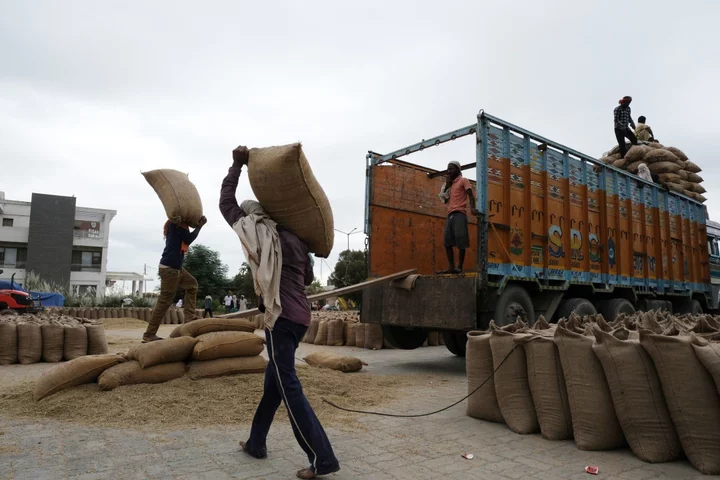 India Rice Export Ban Is Fueling Risk of Social Unrest, UN Says