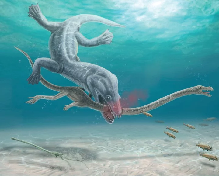 Fossils show ancient long-necked sea beast's 'gruesome' decapitation