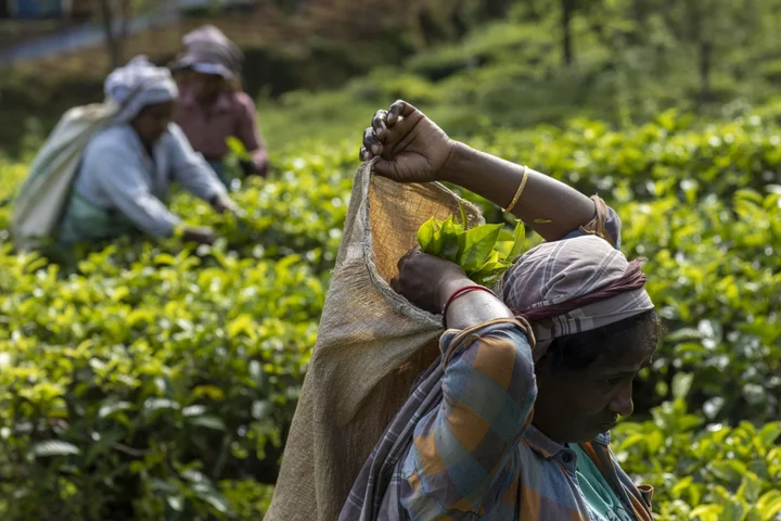 Sri Lanka’s Economic Slump Eases as IMF Loan Program Kicks in