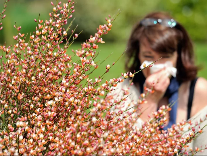 How a hay fever medication transformed my life