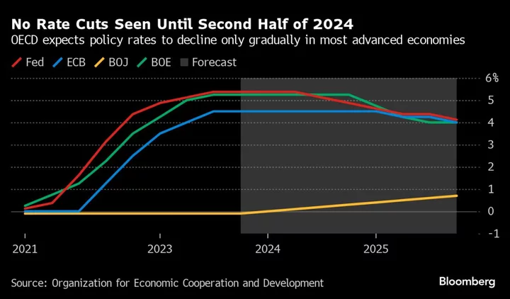 OECD Warns Global Economy Risks Losing Momentum 