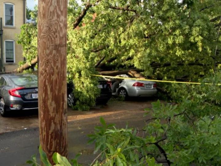 Woman dies after tree falls on her car during Saturday's severe weather in St. Louis