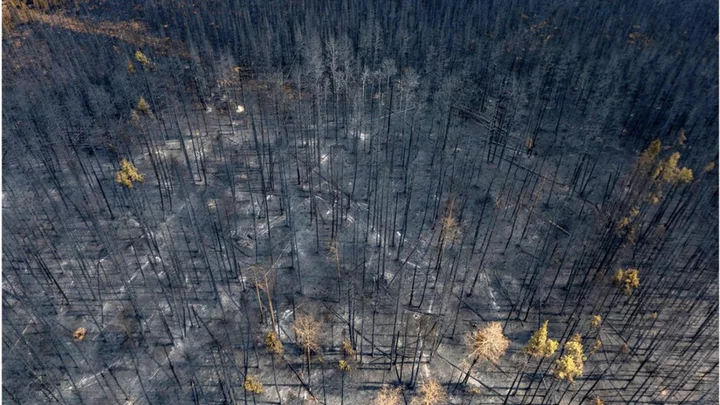 Alberta, Canada, wildfires show no sign of slowing, experts say