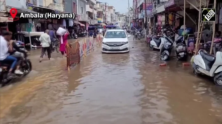 Scientists say people have the ability to 'smell' rain before it arrives