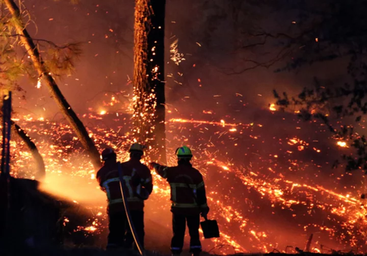 France moves to ban smoking in woodlands to combat growing climate-related risk of mega fires