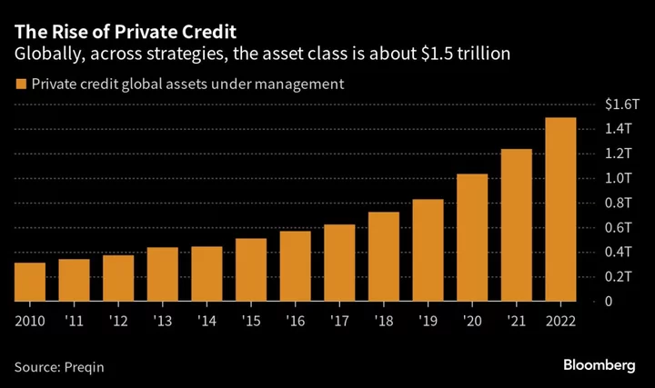 Private Credit’s Secrecy Causes Watchdogs to Fret: Credit Weekly