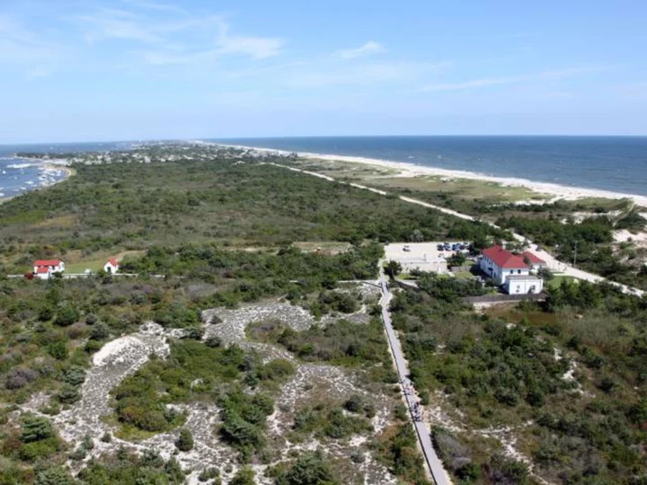 A 15-year-old boy was bitten by a shark while surfing off the coast of New York's Fire Island