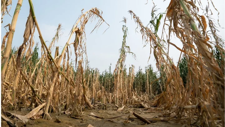 China’s summer of climate destruction