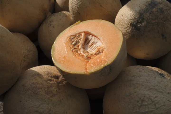 Salmonella in cantaloupes sickens dozens in 15 states, U.S. health officials say