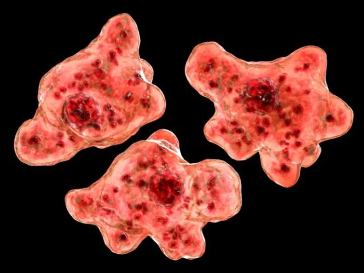 Georgia resident dies from rare brain-eating amoeba, health officials say