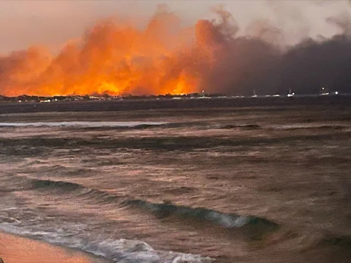 Maui wildfire death toll of 55 expected to rise amid search for victims