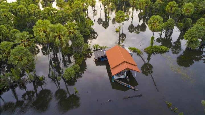 Earthshot Prize: Asia leads the way in quest to repair planet