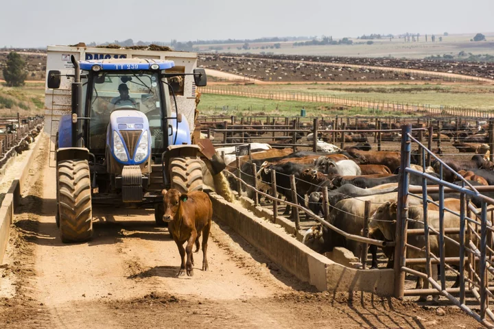 South Africa’s ‘Too White’ Farms May Lose EU, UK Access