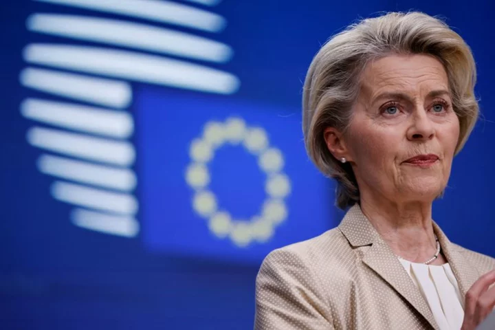 EU working on proposal for frozen Russian assets - von der Leyen