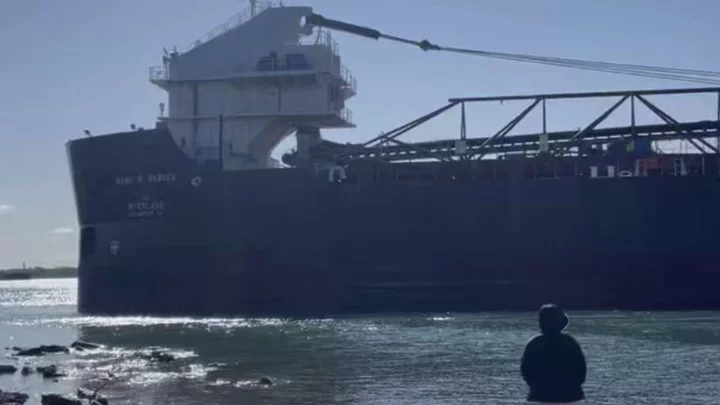 Big Honking Boat Runs Aground in Detroit River