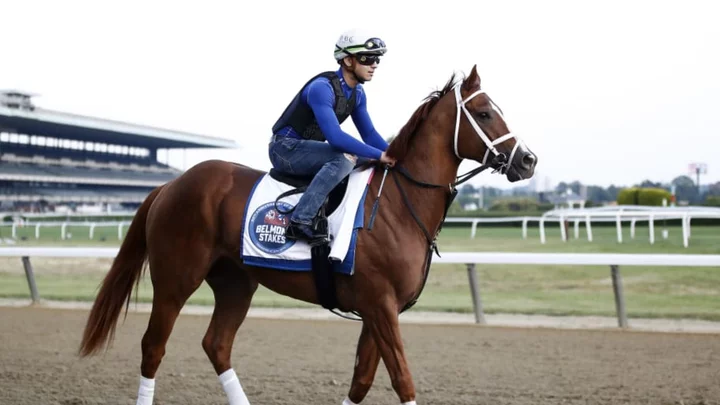 Belmont Stakes Ticket Prices: How Much Does It Cost to Get In?