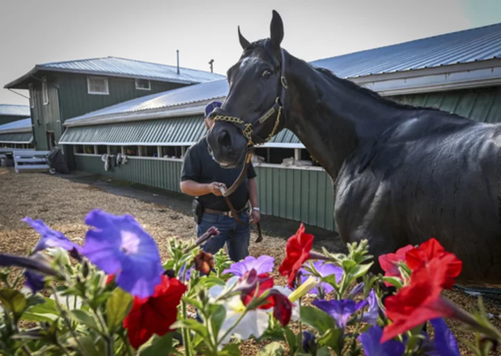 As Triple Crown chase rolls on, horse racing at a crossroads after latest spate of deaths