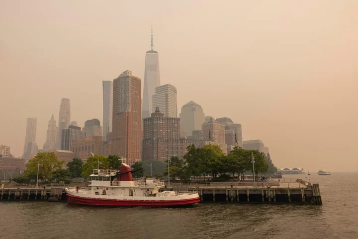 Canada’s Explosive Wildfires Have Damaged a Forest Carbon Offset Project