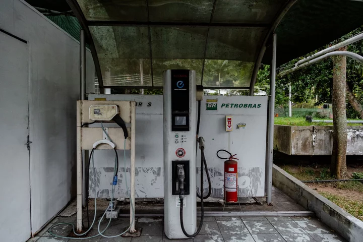 Brazil’s All-Powerful Sugar Industry Is Souring the Country on EVs