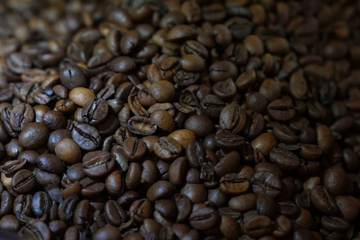 Heat-Tolerant Africa Coffee Strain Revived in Sierra Leone Pilot