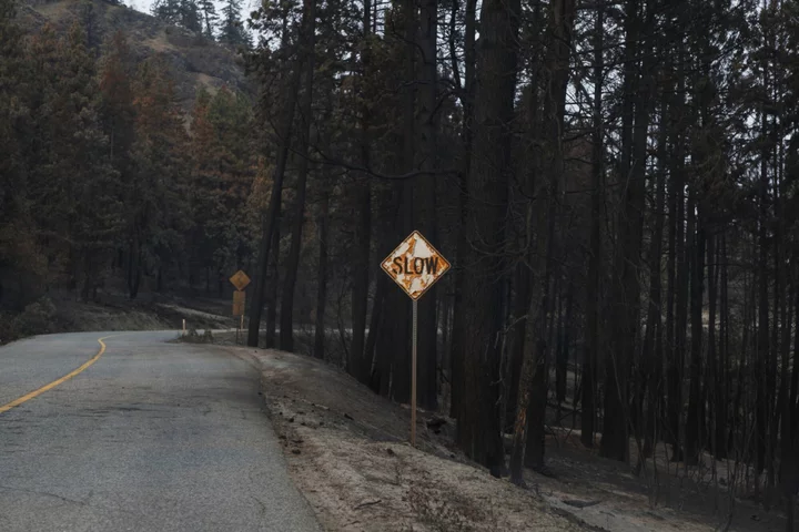 Global Banks Aren’t Walking The Talk on Emissions, Study Shows