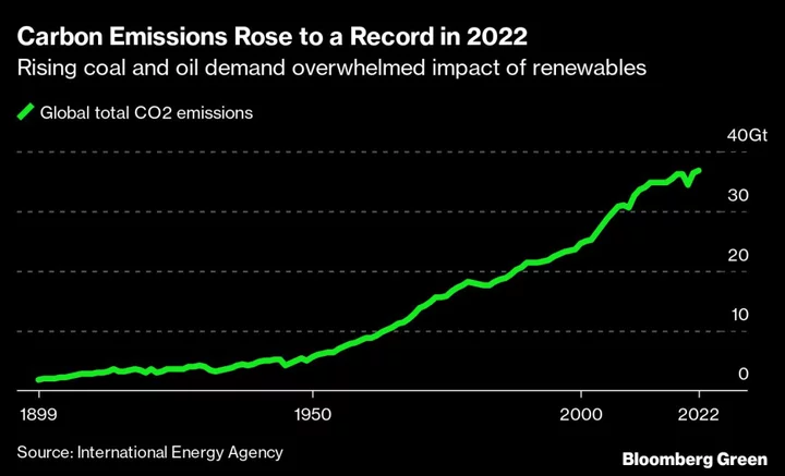 Why Those Bank Emissions Numbers Are So Rosy