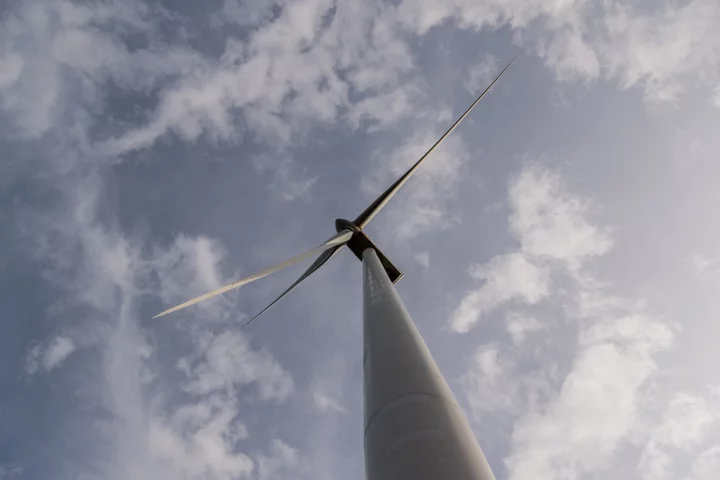 Renewable Energy Champion Kenya Plans Africa’s Biggest Wind Farm