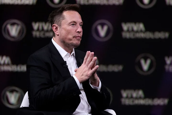 Musk admits X may be doomed to fail as new glitch wipes out pictures from former Twitter platform