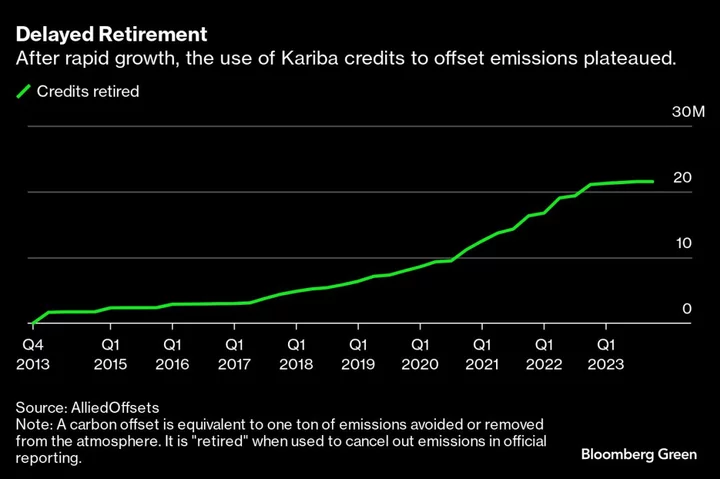 Carbon Investors Risk Losses Tied to Mega-Project, Trader Says