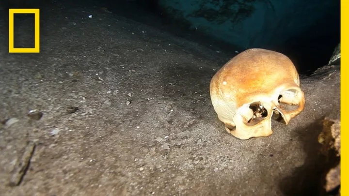 Disturbing cache of elongated human skulls discovered in flooded Mexican sinkhole