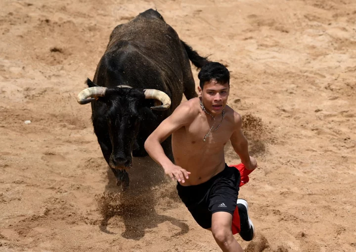 Man gored to death during Valencia running of the bulls