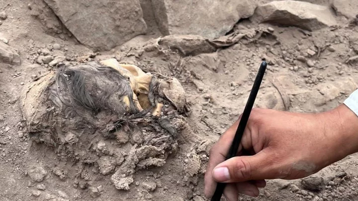 Peru archaeology: Ancient mummy found under rubbish dump