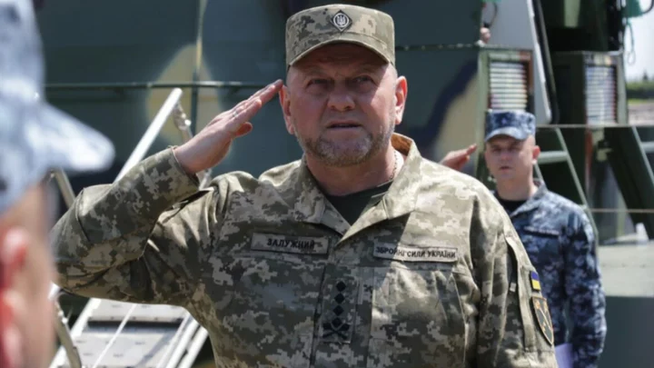 Valery Zaluzhny, the man behind Ukraine's counteroffensive