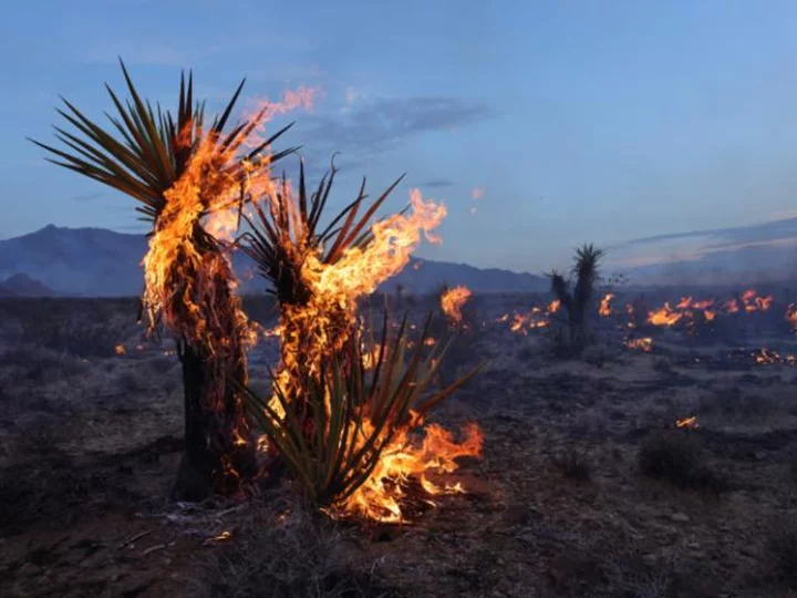 Whirl-spawning wildfire in California and Nevada challenges firefighters and threatens ecosystem